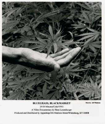 Production still for Bluegrass, Blackmarket