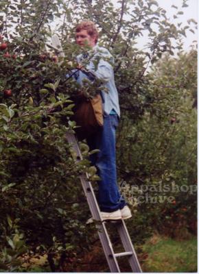 Production still for the film Applewise of man in tree