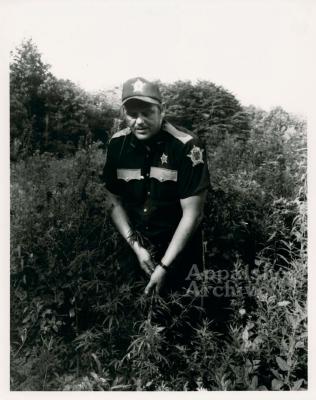 Bluegrass, Blackmarket production still