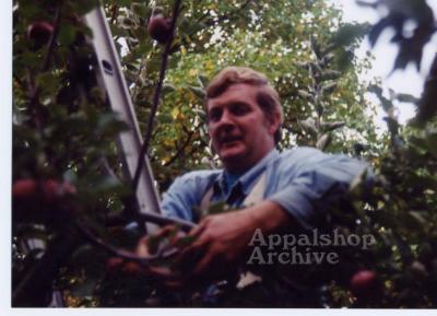 Production still for the film Applewise of man in tree