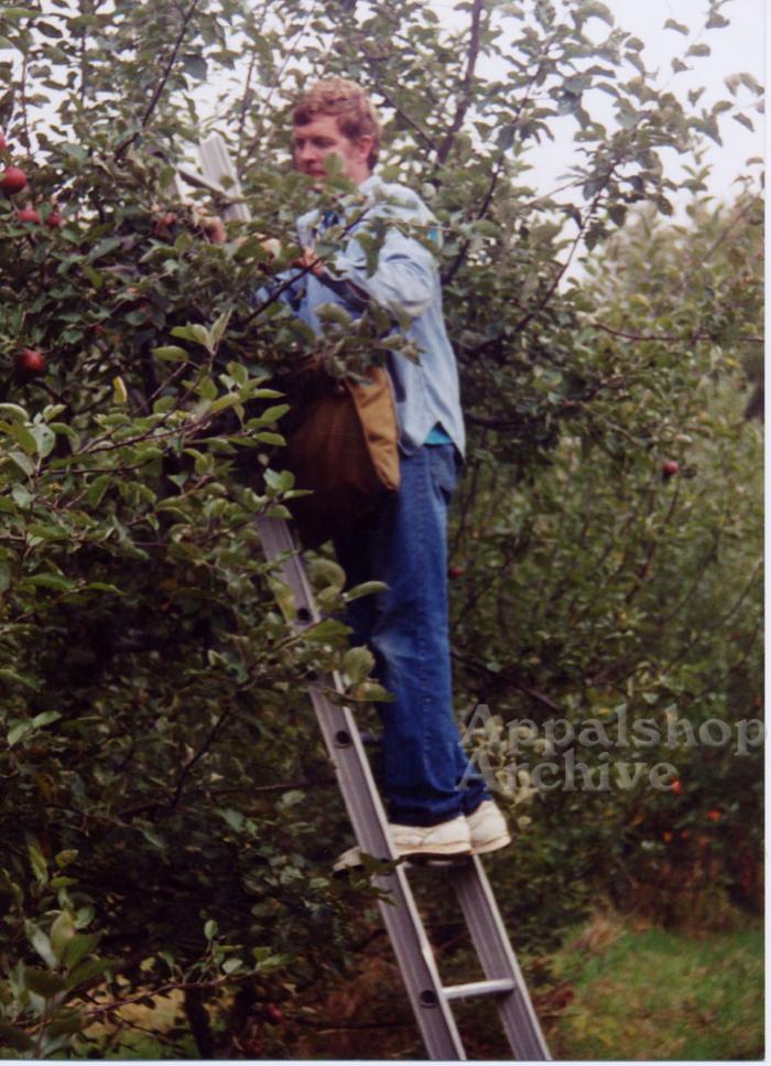 Production still for the film Applewise of man in tree