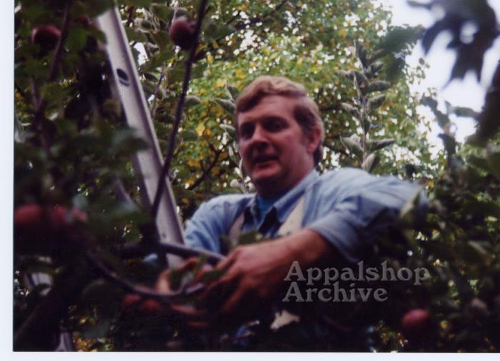Production still for the film Applewise of man in tree