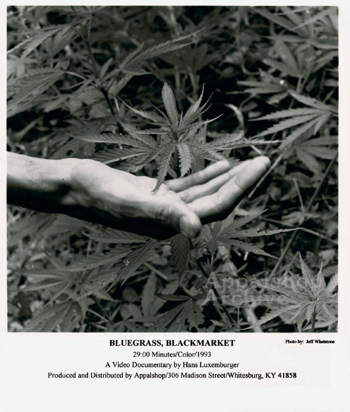Production still for Bluegrass, Blackmarket