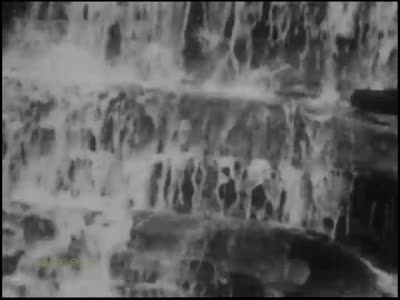 Line Fork Falls and Caves - Preservation dub master