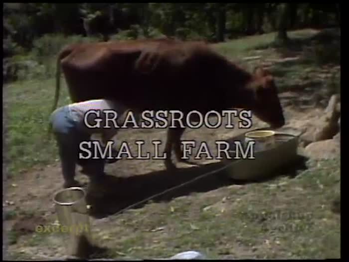 Grassroots Small Farm