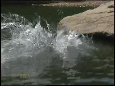 Breaks of the Mountain, The: The Russell Fork Gorge