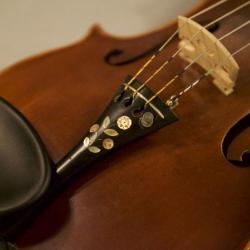 Fiddle, built ca. 1900