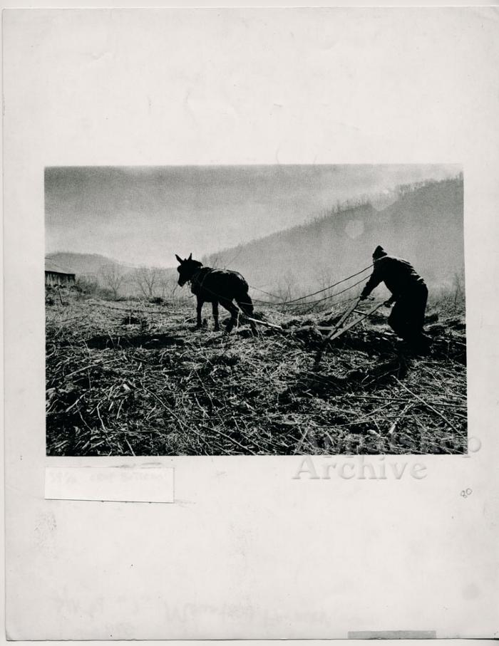 Lee Banks:  Mountain Farmer production still
