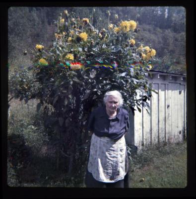 Woman standing in front of sunflowers and shed