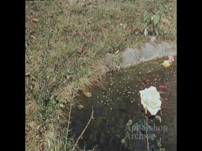 Home movie of women with flower garden; River baptism (silent) (baptism out of focus)