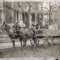 Man driving horse-drawn cart down main street