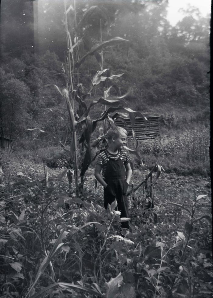 Image of boy in bean garden
