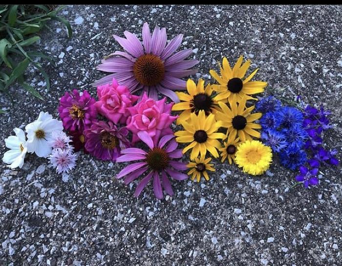 Arrangement of colorful flowers