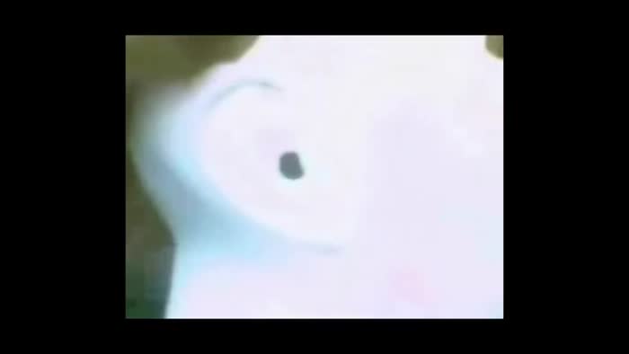 An Elaborate Dream (AMI)