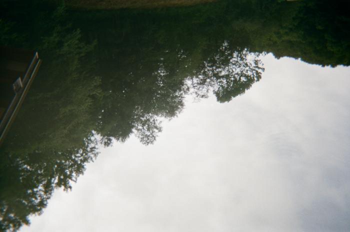 Mountain tree line