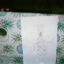 Drawing of Spiderman on pineapple tablecloth