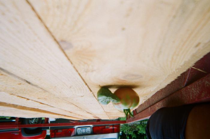 Tomato and cucumber on wooden flatbed.