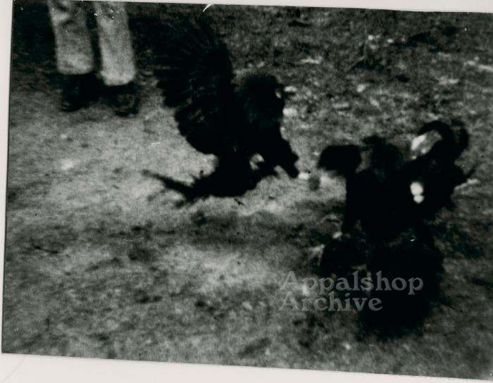 Feathered Warrior production still