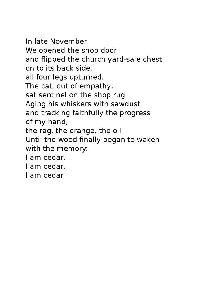Cat Poem, November