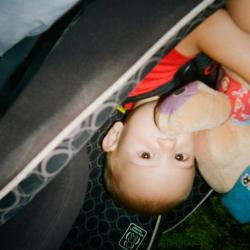 Toddler in child safety seat, holding a stuffed toy