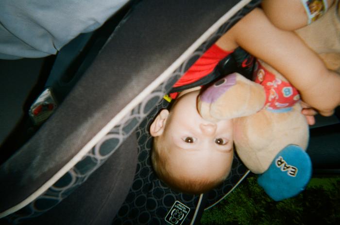 Toddler in child safety seat, holding a stuffed toy