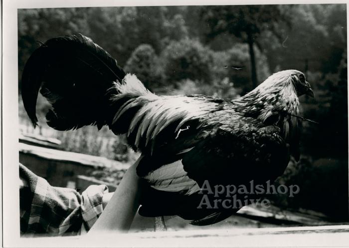 Feathered Warrior production still
