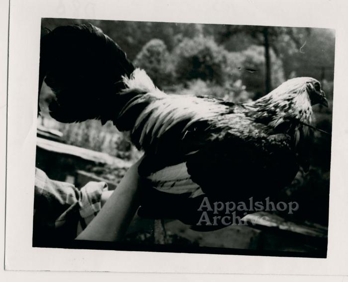 Feathered Warrior production still