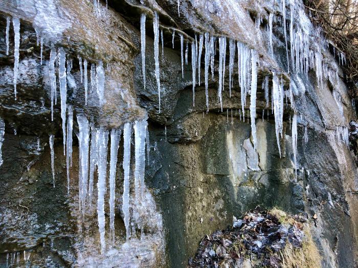 Tanglewood Trail In Winter