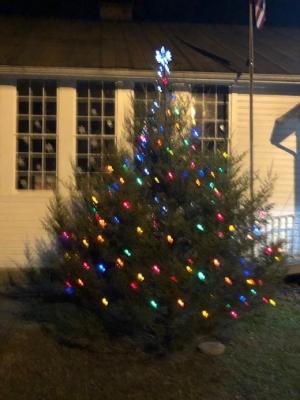 Carcassonne Tree 2020