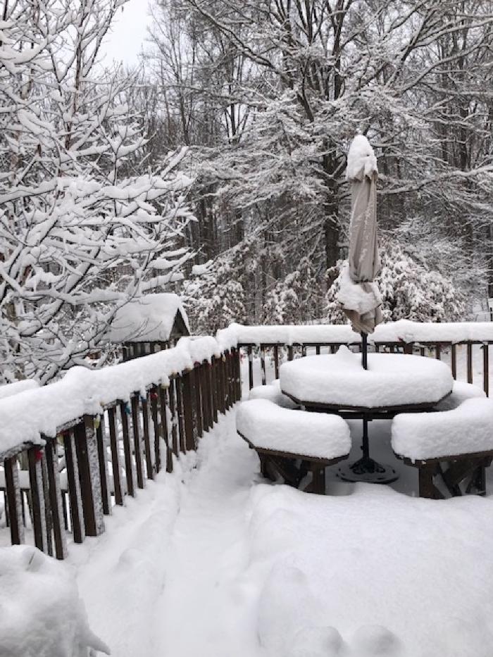 White Christmas, 2020