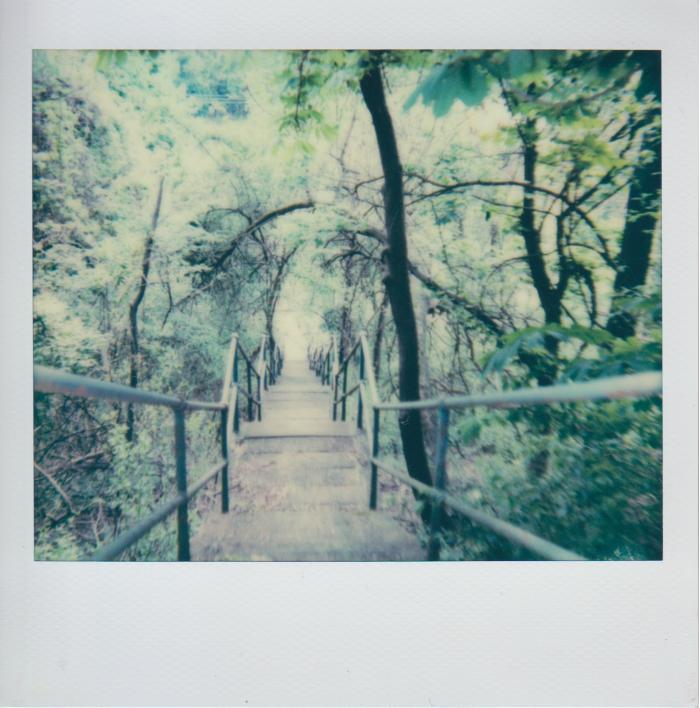 Mis.Steps: Our Missed Connections with Pittsburgh's City Steps