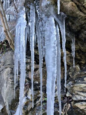 Ice on the Tanglewood Trail