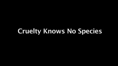 Cruelty Knows No Species (AMI)