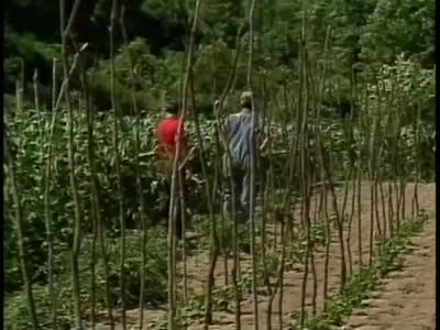 Footage of Morgan and Lee Sexton discussing farming and television