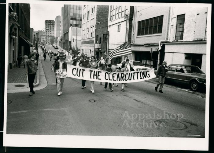 Ready for Harvest:  Clearcutting in the Southern Appalachians production still