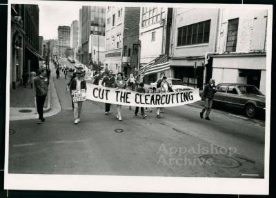 Ready for Harvest:  Clearcutting in the Southern Appalachians production still