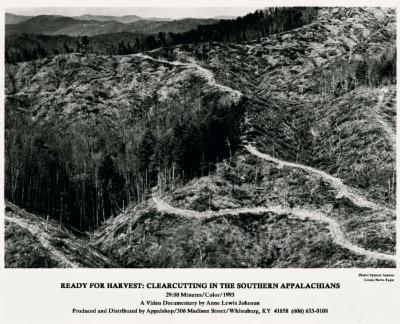 Ready for Harvest:  Clearcutting in the Southern Appalachians production still