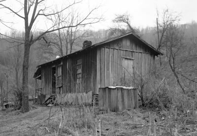 Woman peeking out of wooden home
