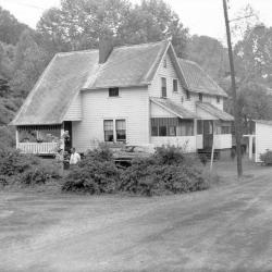Two people standing behind row of bushes in yard, talking