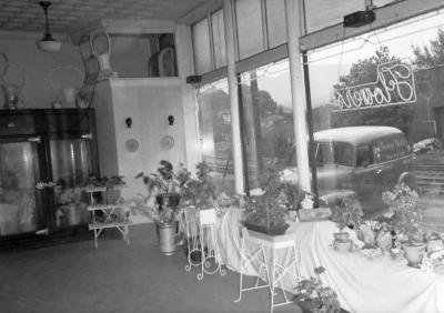 Interior of Messenger Florist shop with view of service car through window