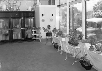 Interior of Messenger Florist shop