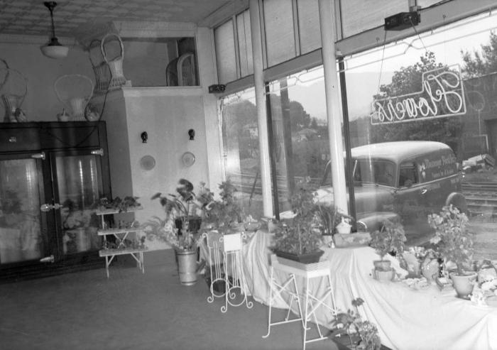 Interior of Messenger Florist shop with view of service car through window