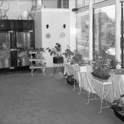 Interior of Messenger Florist shop