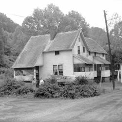 Two people standing behind row of bushes in yard