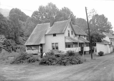 Two people standing behind row of bushes in yard