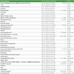 "AACIP Video" external drive