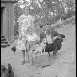 Portrait of a couple with their young son and family dog