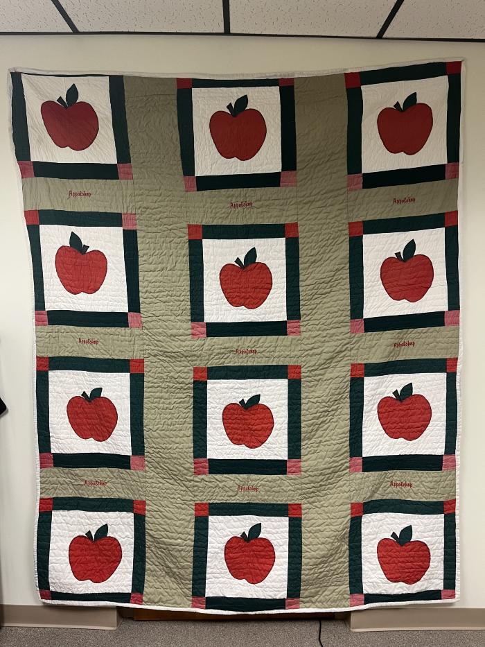 Appalshop Quilt #4