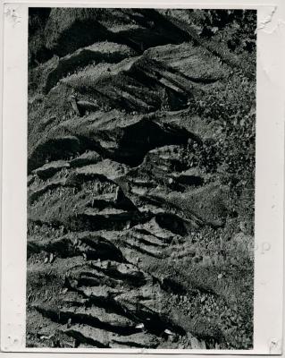 Stripmining in Appalachia production still