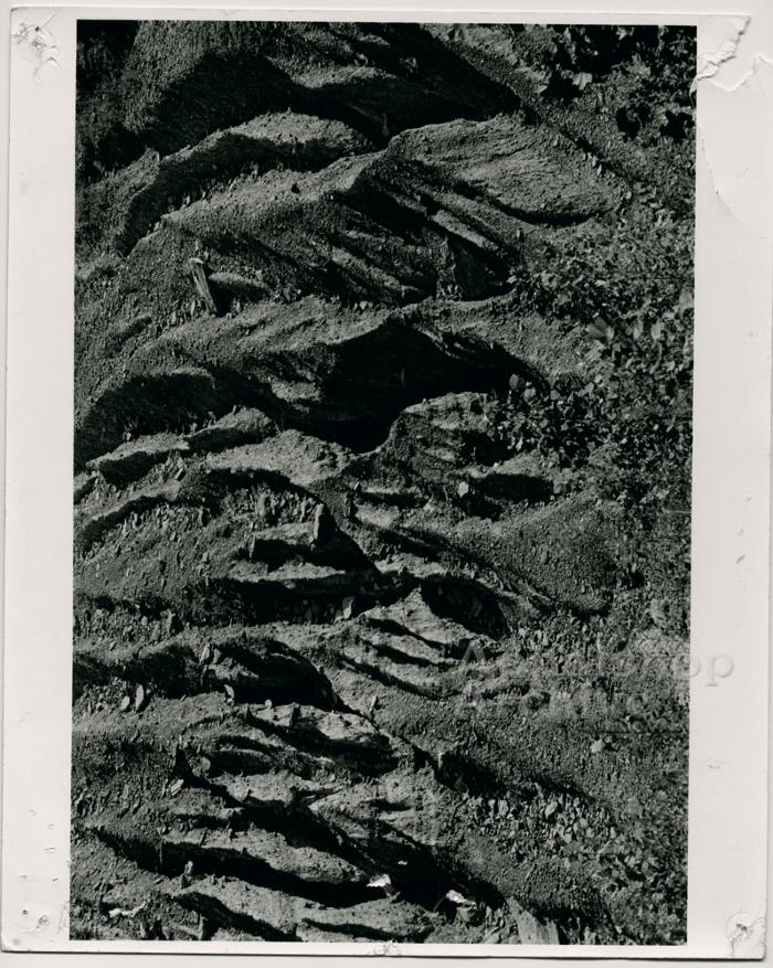 Stripmining in Appalachia production still